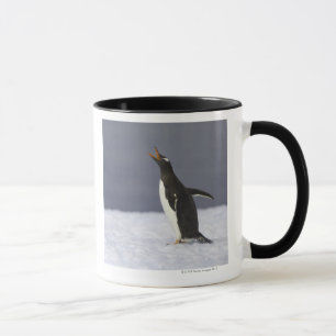 Vuxen fågel för Gentoo pingvin (pygoscelisen Mugg