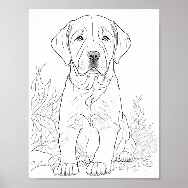 Vuxen för Labrador Retriever-Hund Poster (Framsidan)