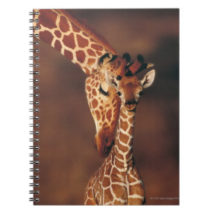 Vuxen giraff med kalven (Giraffacamelopardalis) Anteckningsbok Med Spiral