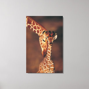 Vuxen giraff med kalven (Giraffacamelopardalis) Canvastryck