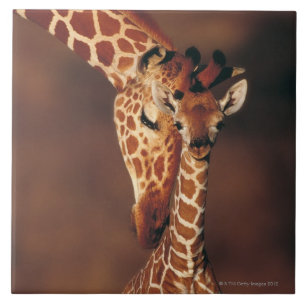 Vuxen giraff med kalven (Giraffacamelopardalis) Kakelplatta
