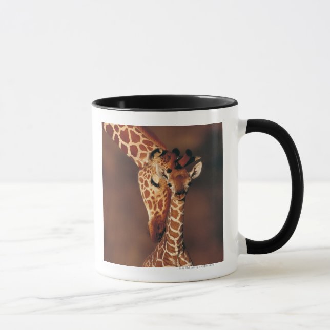 Vuxen giraff med kalven (Giraffacamelopardalis) Mugg (Höger)