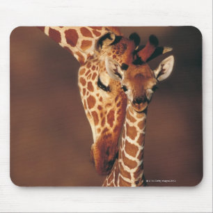 Vuxen giraff med kalven (Giraffacamelopardalis) Musmatta