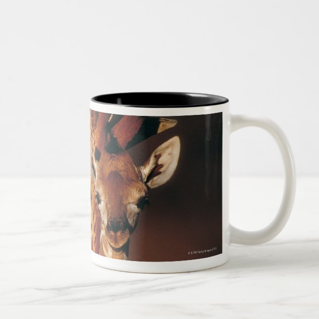 Vuxen giraff med kalven (Giraffacamelopardalis) Två-Tonad Mugg (Höger)