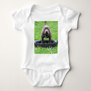 Vuxen hane Staffordshire Terrier redo att leka, T Shirt