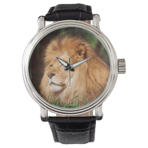 Vuxen hanlejon armbandsur