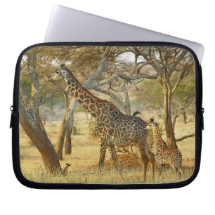 Vuxen hona och ung Giraff, Giraffa Laptop Sleeve