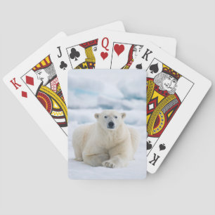 Vuxen isbjörn på sommarisen casinokort