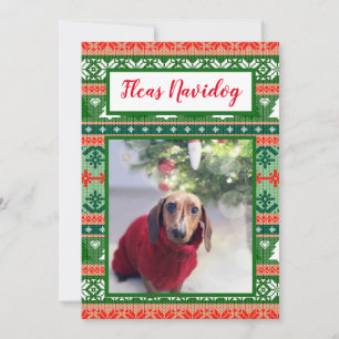Vuxen julsötare Fleas Navidog Pet Photo Julkort