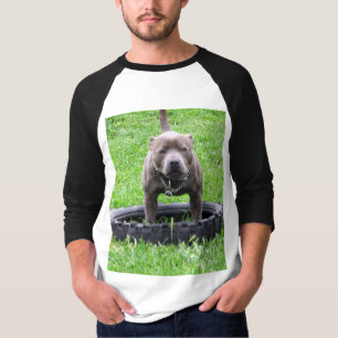Vuxen Male Stafford Bull Terrier T Shirt