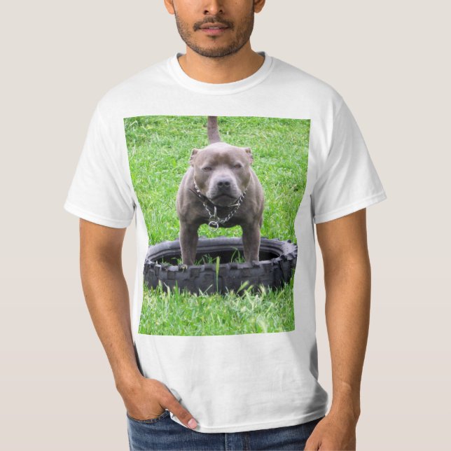 Vuxen Male Stafford Bull Terrier T Shirt (Framsida)