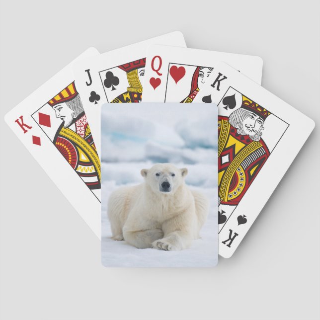 Vuxen polar björn på sommarpackeisen casinokort (Baksidan)