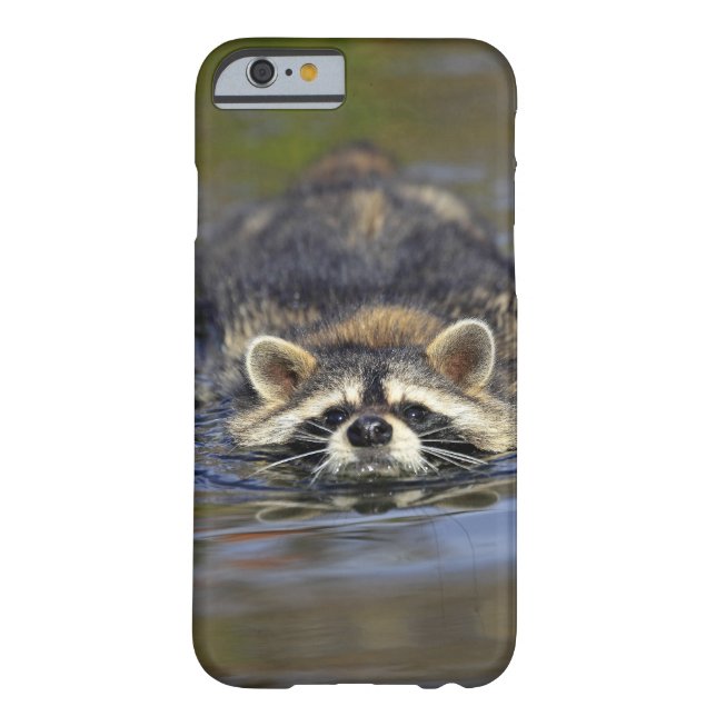 Vuxen Raccoon, ProcyonlotorOrder: Case-Mate iPhone Skal (Baksidan)