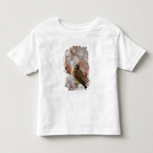 Vuxen sidensvans på hagtorn med snö, t shirt