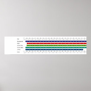 Vuxen Storlekt jämförelsediagram för kvinnoskor Poster