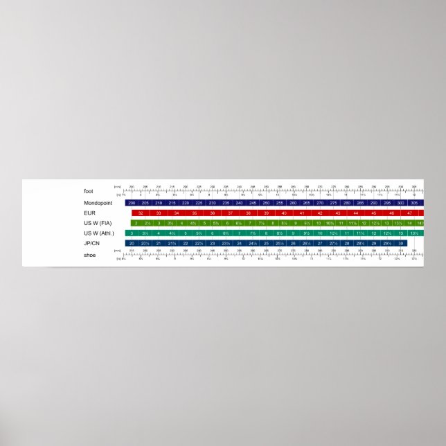 Vuxen Storlekt jämförelsediagram för kvinnoskor Poster (Framsidan)