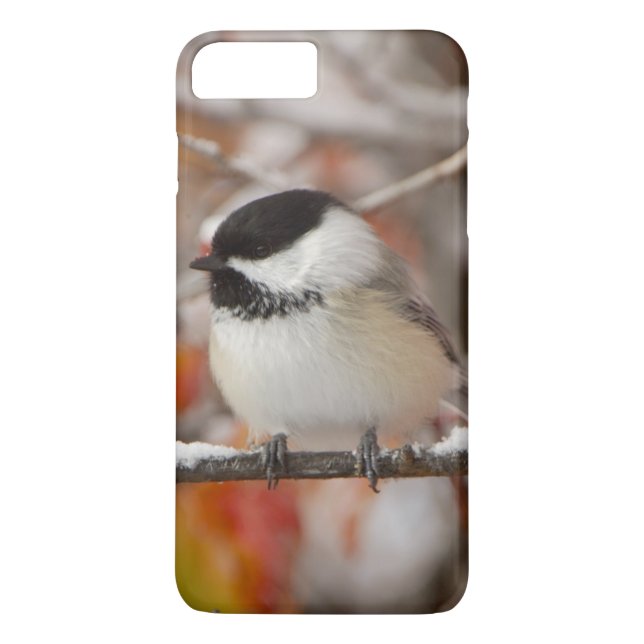 Vuxen, svart-klädd Chickadee i Snö Case-Mate iPhone Skal (Baksida)