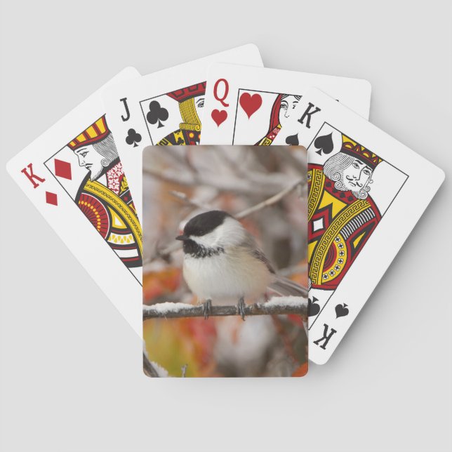 Vuxen svartkronad mes i snö spel kort (Baksidan)