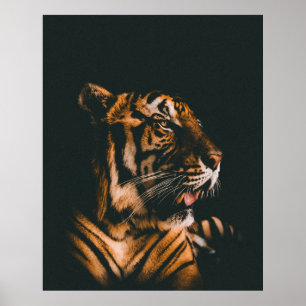 VUXEN TIGER PRONE LJUGER INSIDE DIM LIGHTED ROOM POSTER