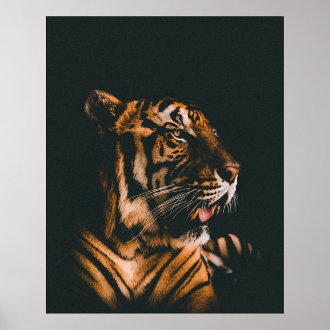 VUXEN TIGER PRONE LJUGER INSIDE DIM LIGHTED ROOM POSTER (Framsidan)