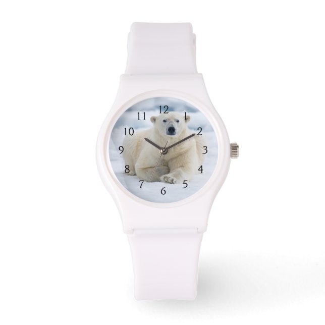 Vuxens polar på isförpackningen för sommarförpackn armbandsur (Framsida)