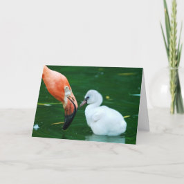Vuxet flamingo- och chickhälsningkort kort