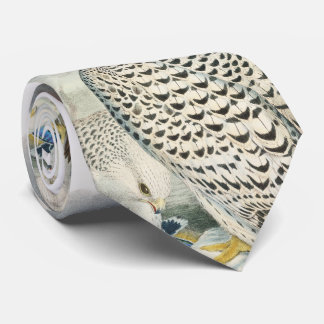 Vuxna mörka Grönlandfalkfåglar av Storbritannien Slips