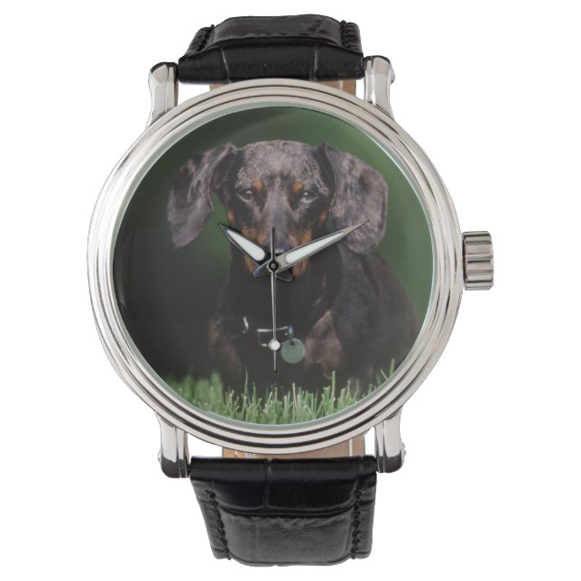 Vy av Dapplefärgad Dachshund Armbandsur (Framsida)
