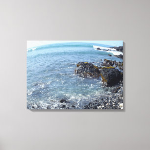 Vy Big Island Hawaii strandduva Canvastryck