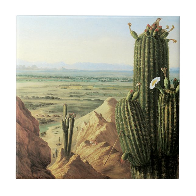Vy från Maricopa-berget nära floden Gila Kakelplatta (Framsidan)