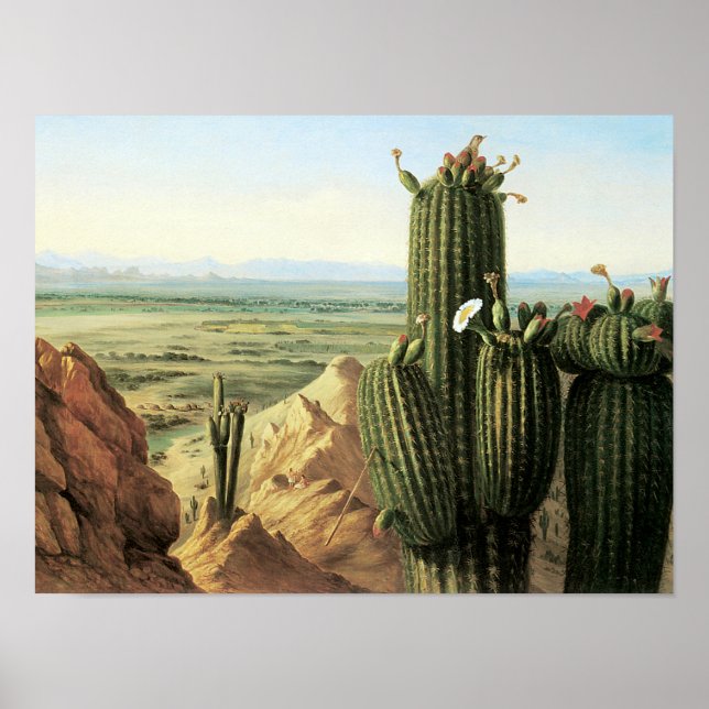 Vy från Maricopa-berget nära floden Gila Poster (Framsidan)