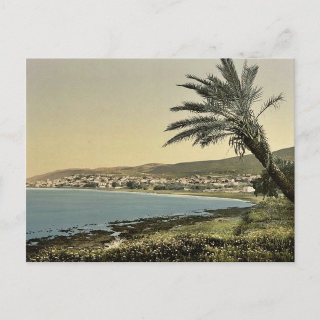 Vy från nära foten av berget Carmel, Chaifa, (dvs. Vykort (Framsida)