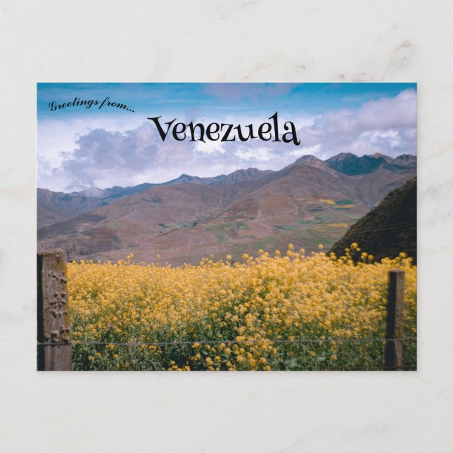 Vy Mérida Venezuela Vykort (Framsida)