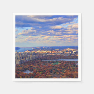 Vy ovanifrån: Hösten i Central Park 01 Pappersservett