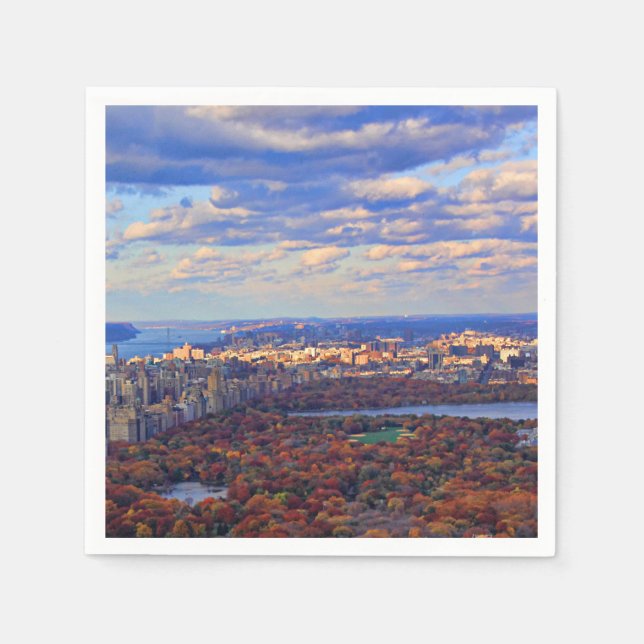 Vy ovanifrån: Hösten i Central Park 01 Pappersservett (Framsidan)