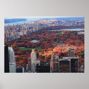 Vy ovanifrån: Hösten i Central Park 01 Poster