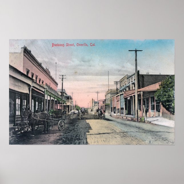 Vy över affärssektion med hästlaster poster (Framsidan)