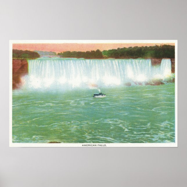 Vy över amerikanska Falls Poster (Framsidan)