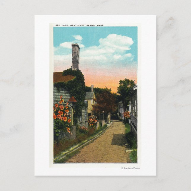 Vy över Ash Lane Vykort (Framsida)