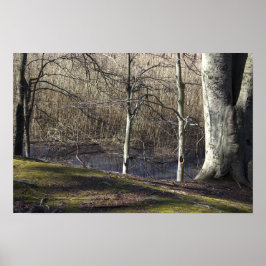 Vy över Bäck Poster