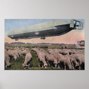 Vy över betesfår med Zeppelin Blimp Poster