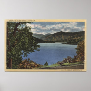 Vy över Beval Shasta Sjö Poster