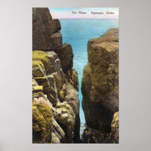 Vy över blomman poster