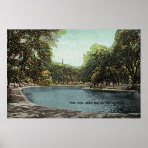 Vy över Boston Common Frog Pond # 2 Poster