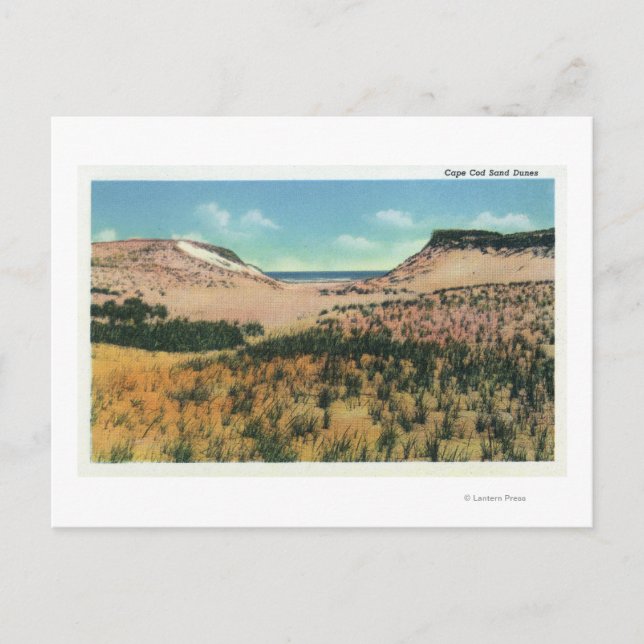 Vy över Cape Cod Sand Dunes 2 Vykort (Framsida)
