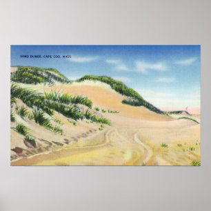 Vy över Cape Cod Sand Dunes Poster