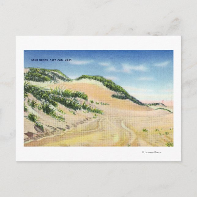 Vy över Cape Cod Sand Dunes Vykort (Framsida)