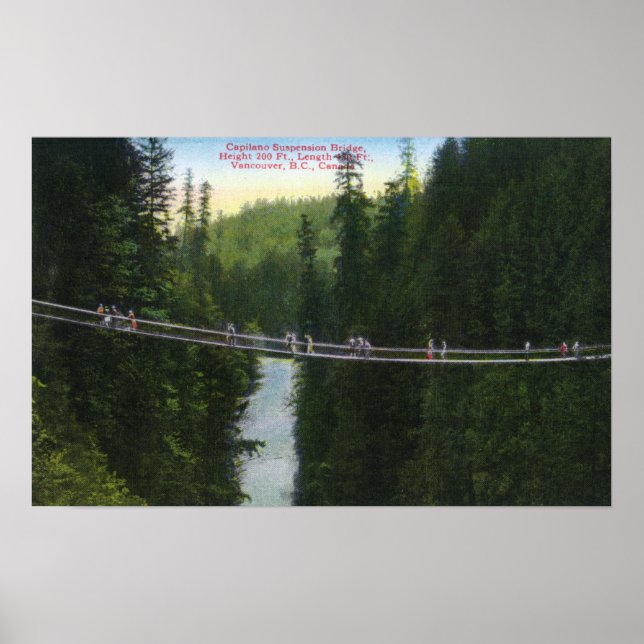 Vy över Capilano Suspension Bridge Poster (Framsidan)