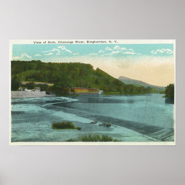 Vy över Chenango River and Dam Poster (Framsidan)