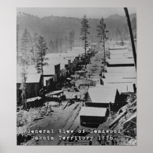 Vy över Deadwood SD 1876 Poster